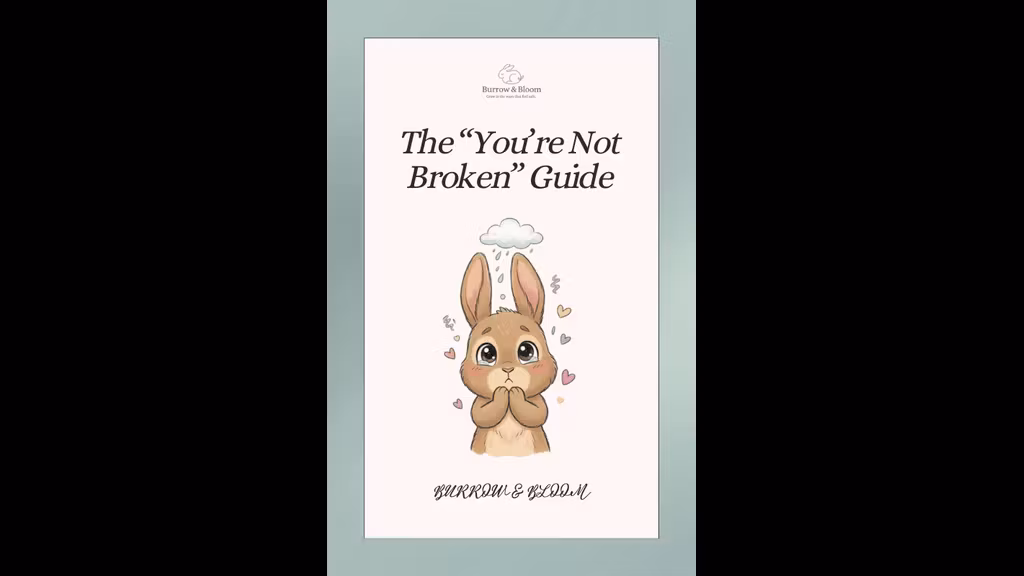 The You're Not Broken Guide