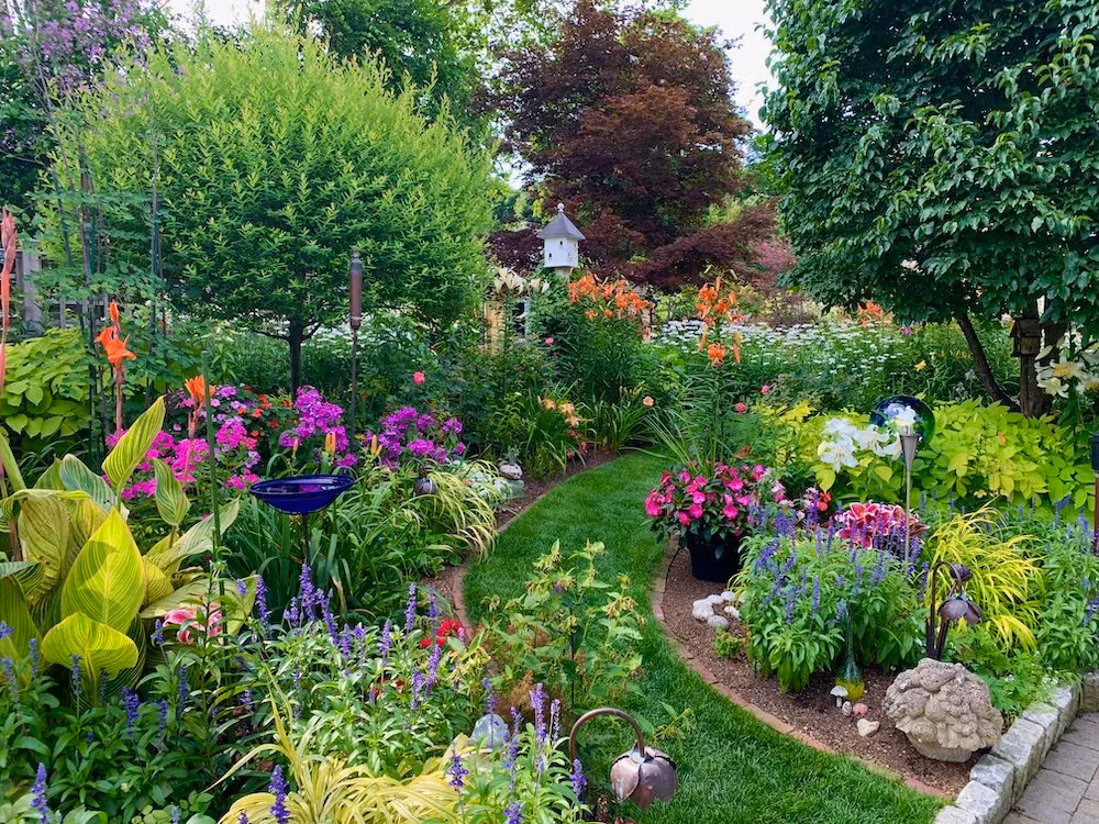 Urban Botanics: plant care 