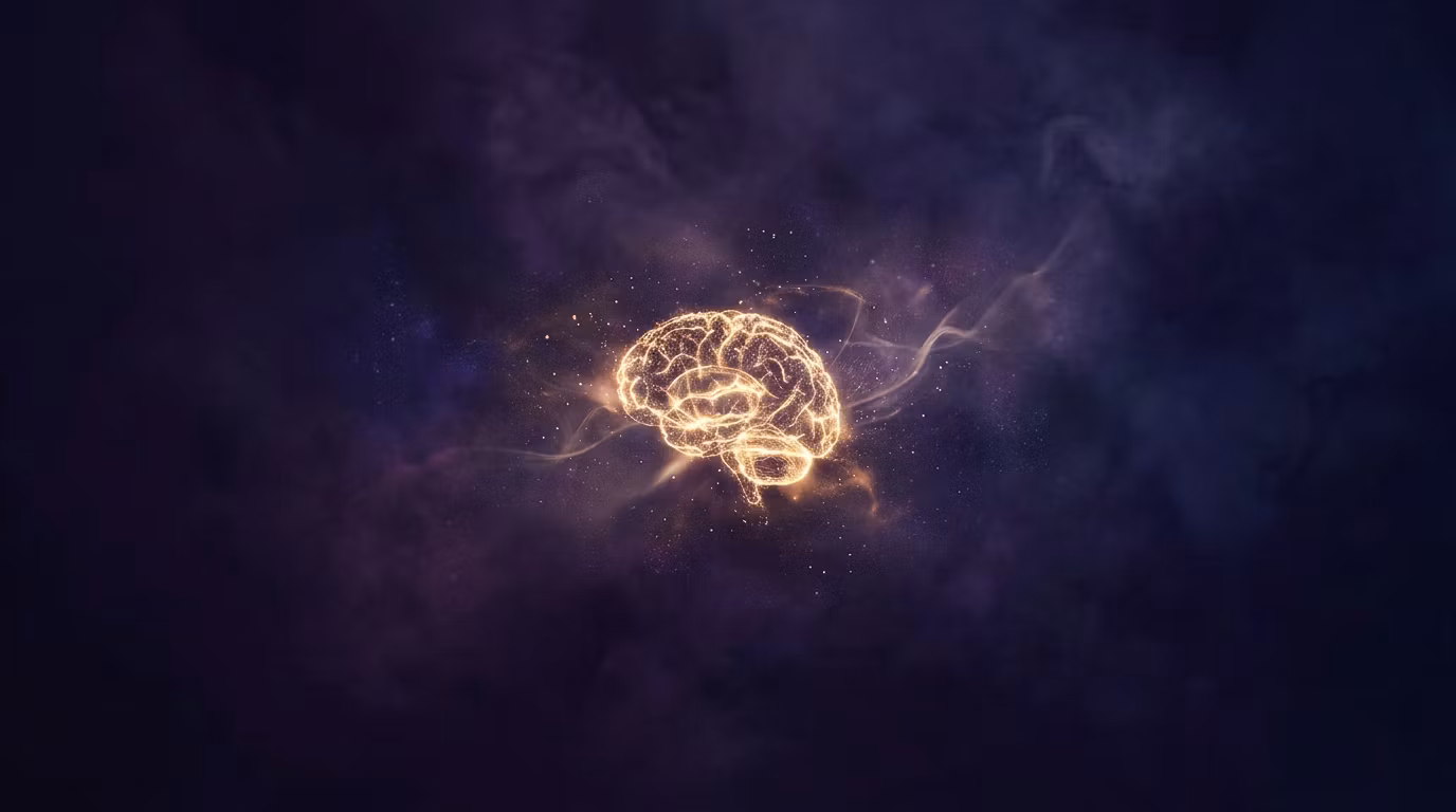 The Mind Vault