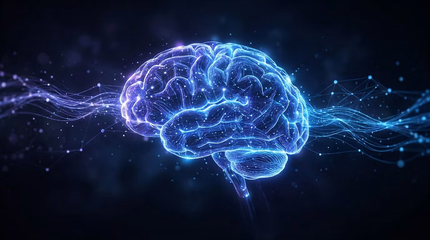 NeuroClass Pro