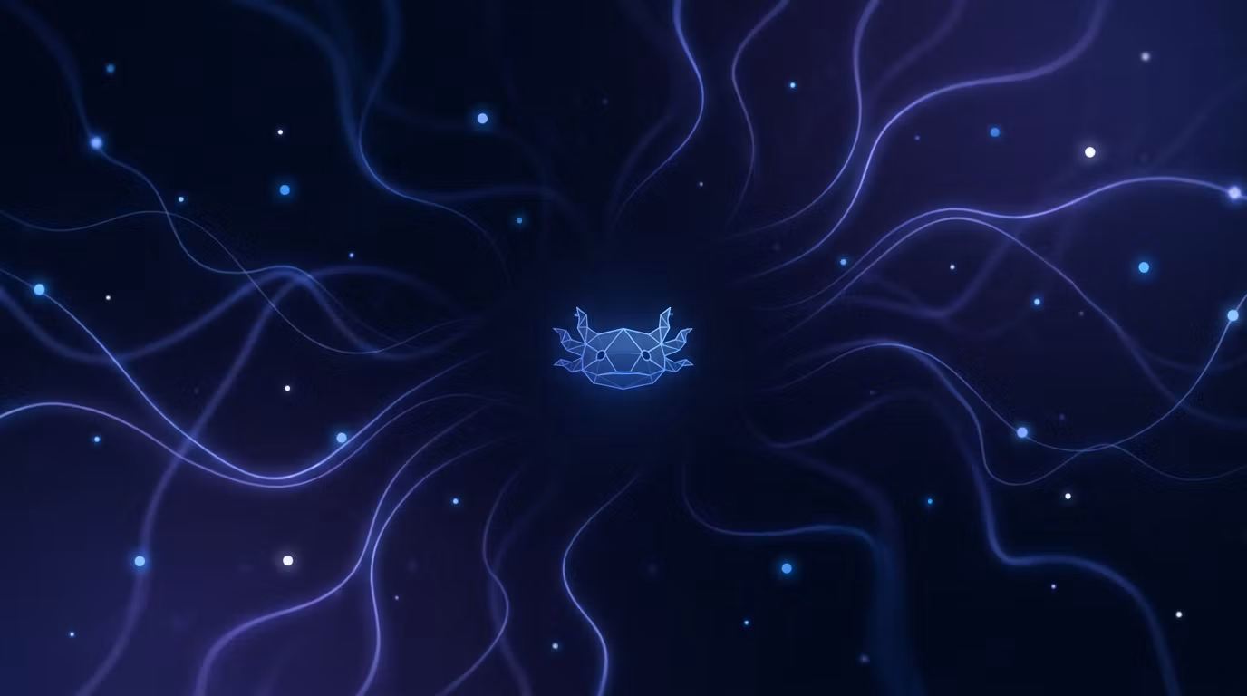 Axo AI