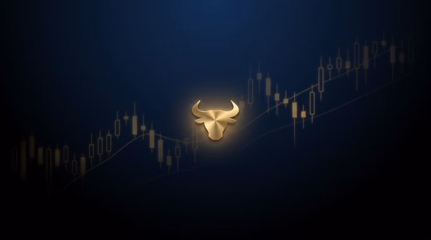 Profit Playbook