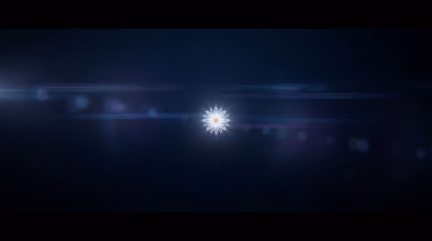 Daisy Media