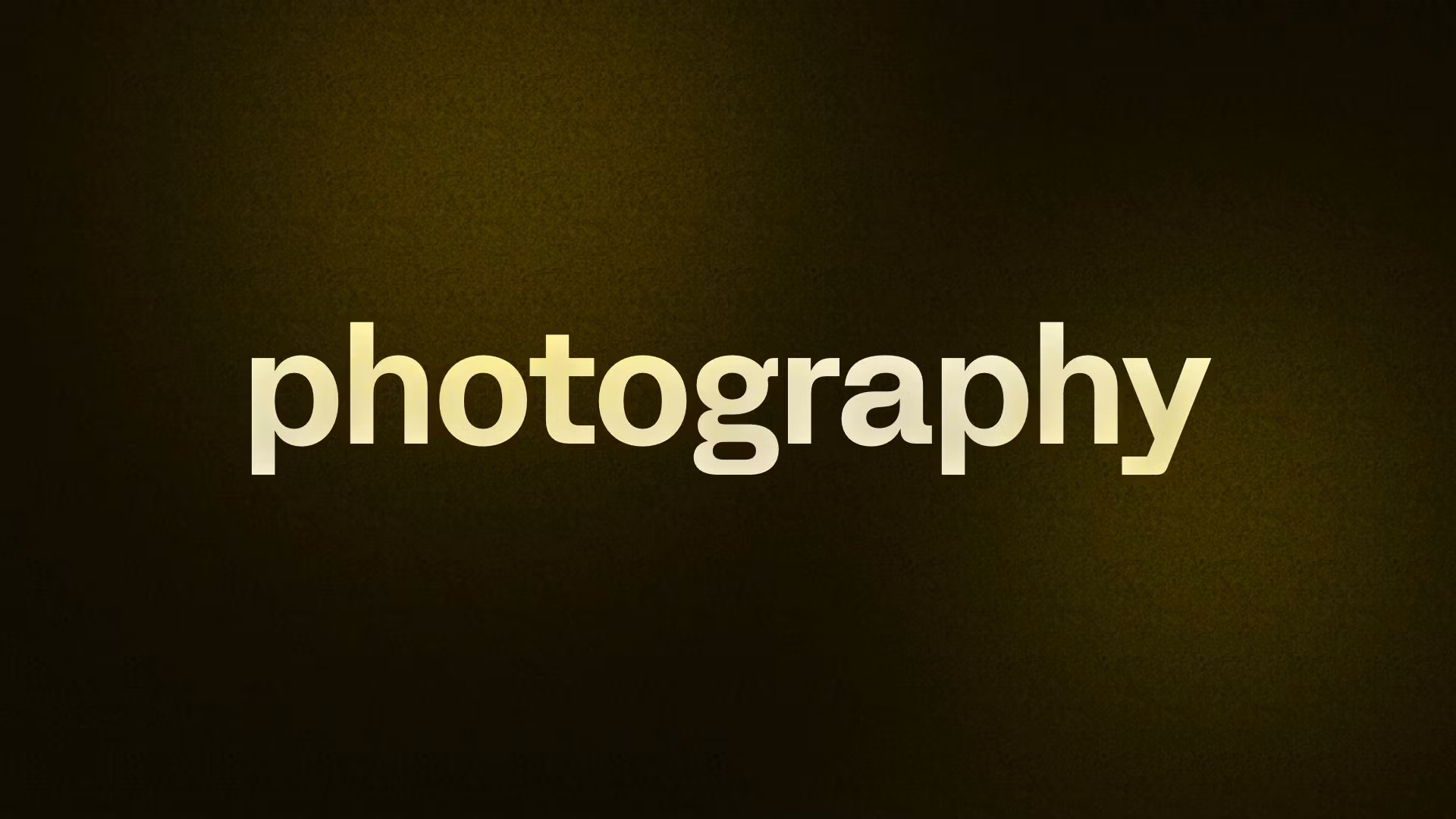 professional photography 