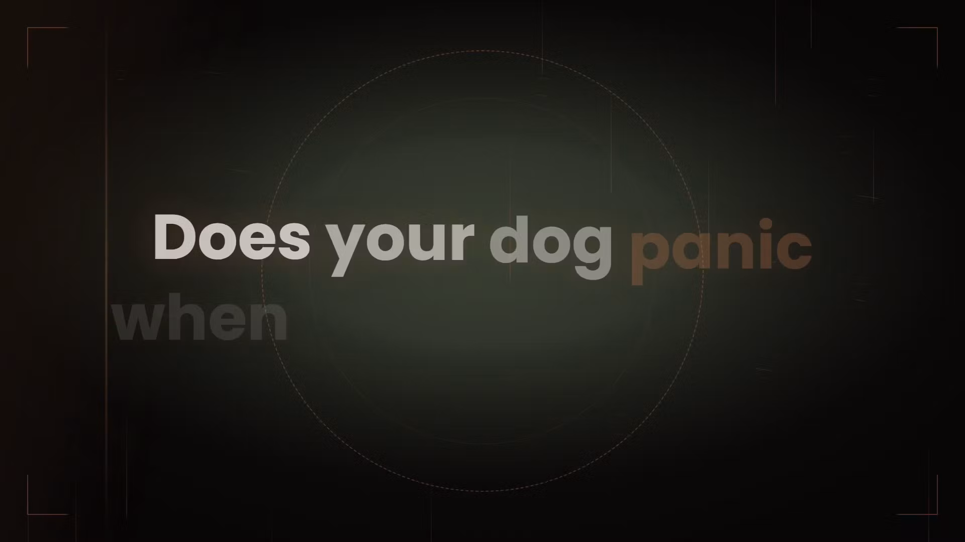 Why your dog panics + Spreadsheet tracker 