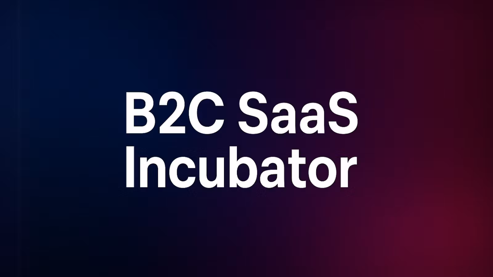 B2C SaaS Incubator