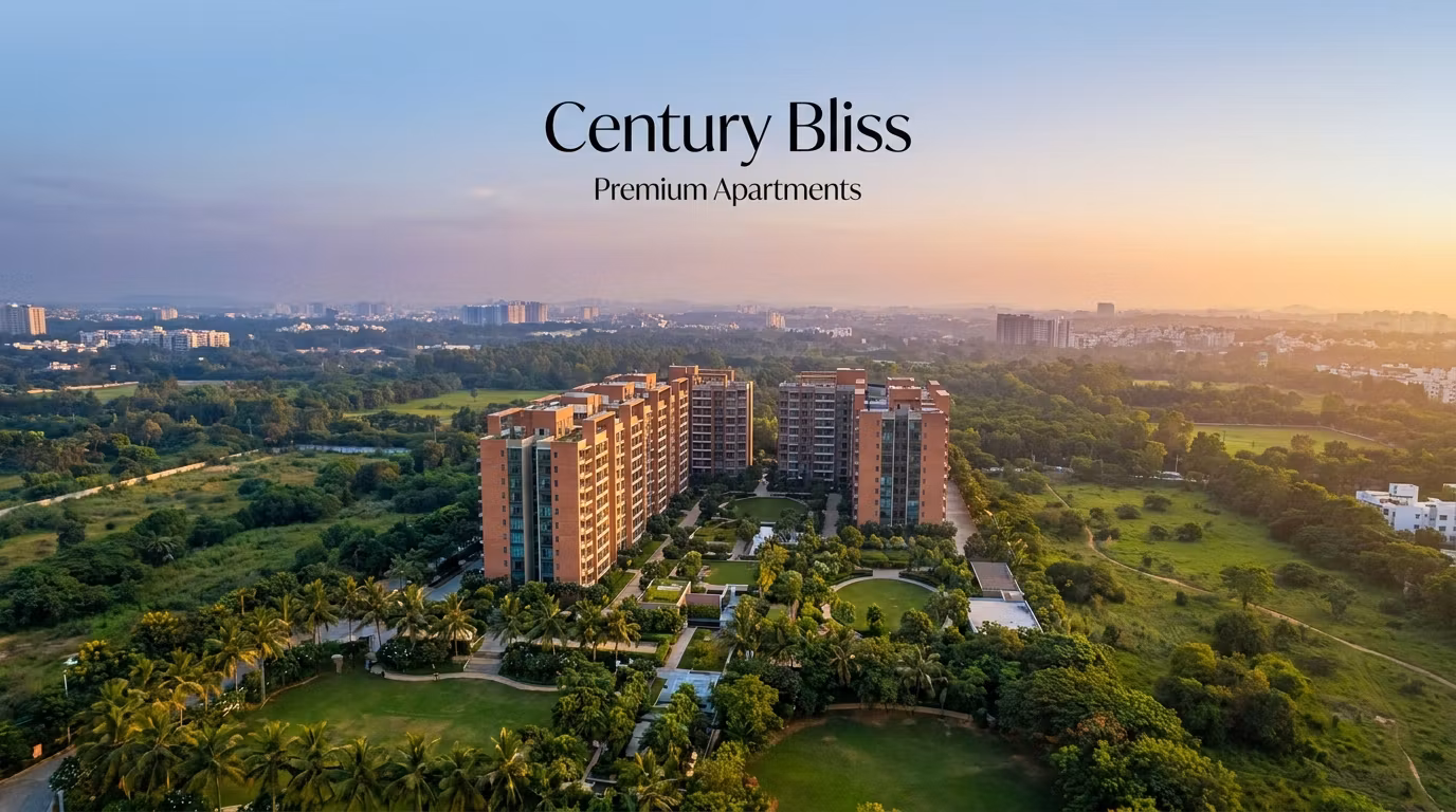 Century Bliss