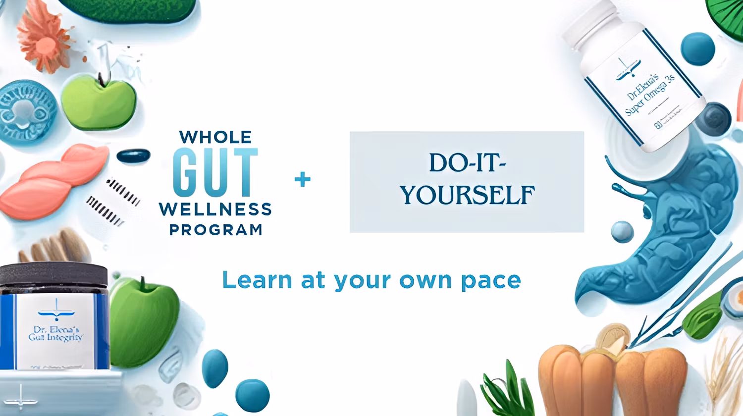Whole Gut Wellness Program - Do It Yourself