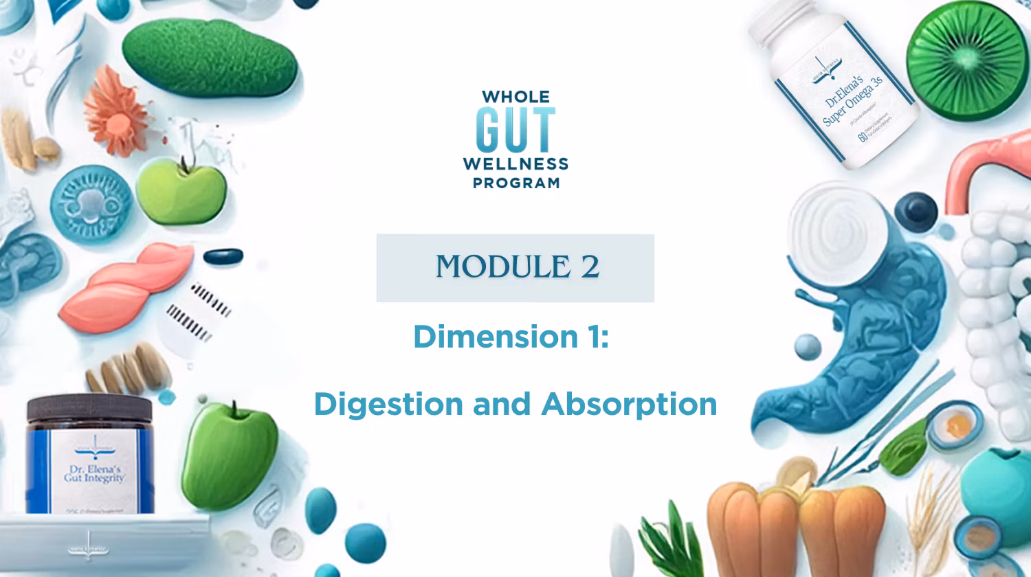 Whole Gut Wellness Program - Dimension 1: Digestion and Absorption