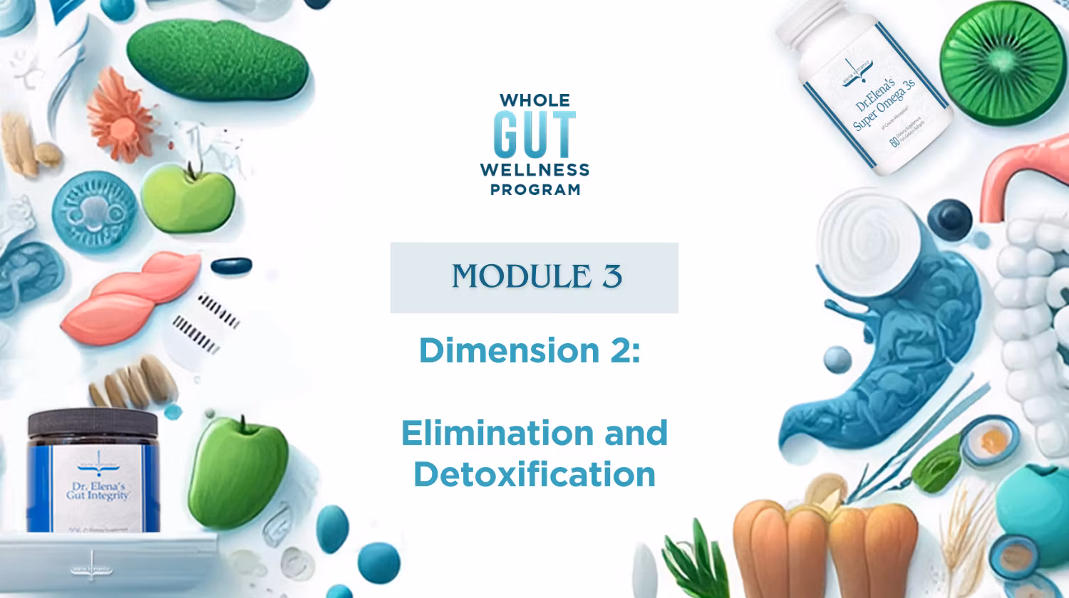 Whole Gut Wellness Program - Dimension 2: Elimination and Detoxification