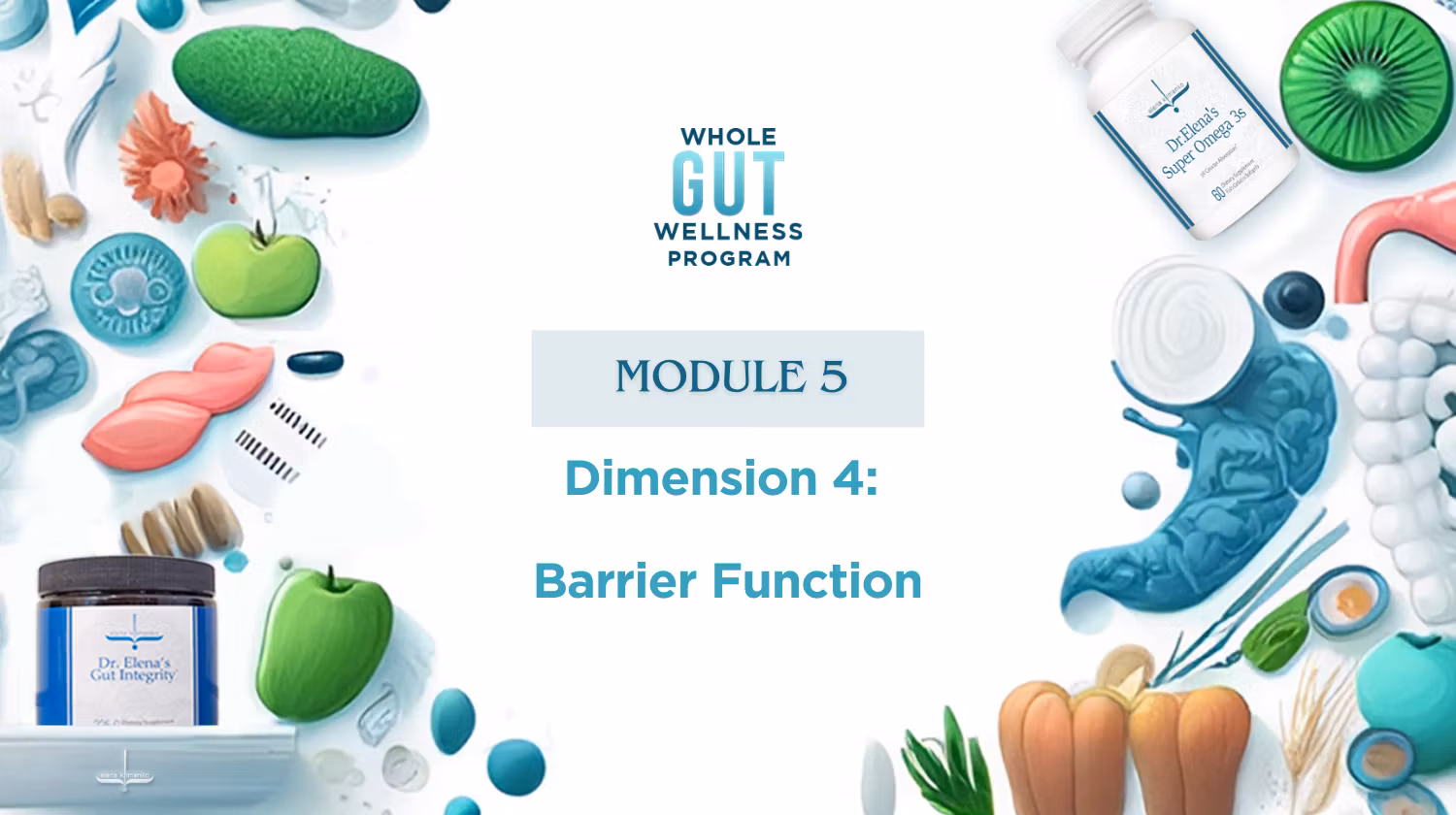 Whole Gut Wellness Program - Dimension 4: Barrier Function