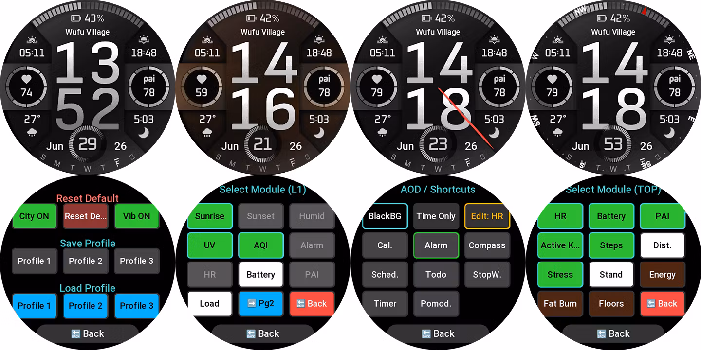 Fenix-Gray Watch Face