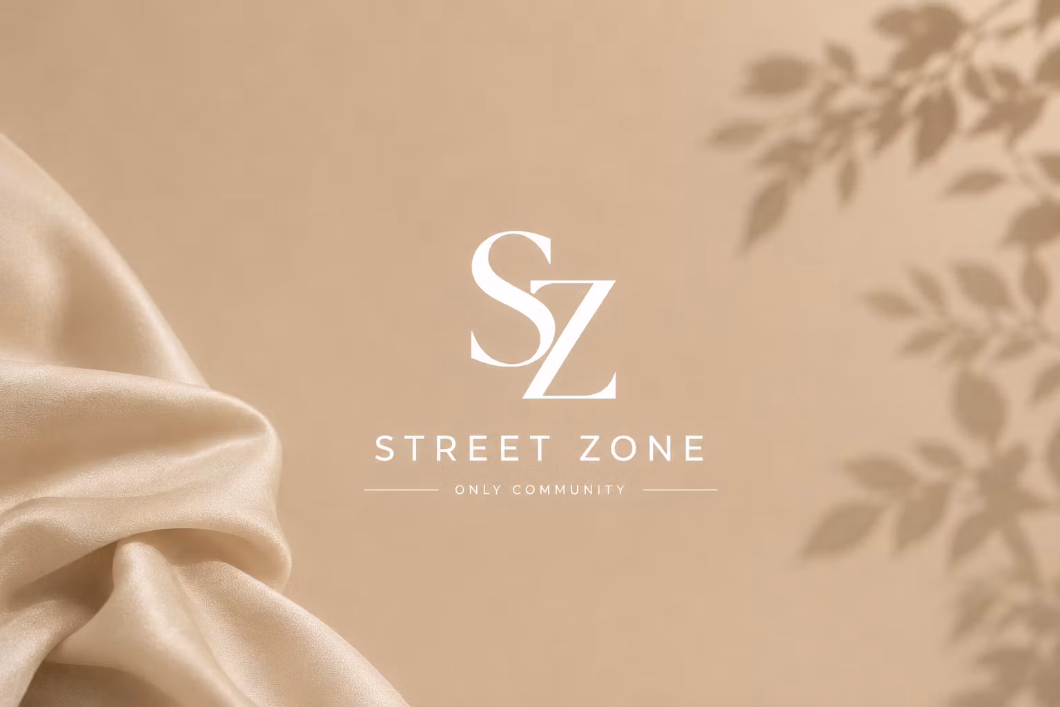 Street Zone