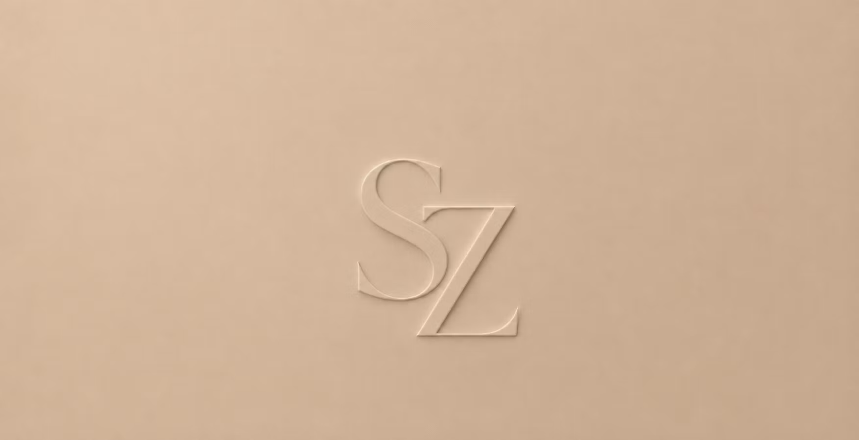 Street Zone - Accès novice