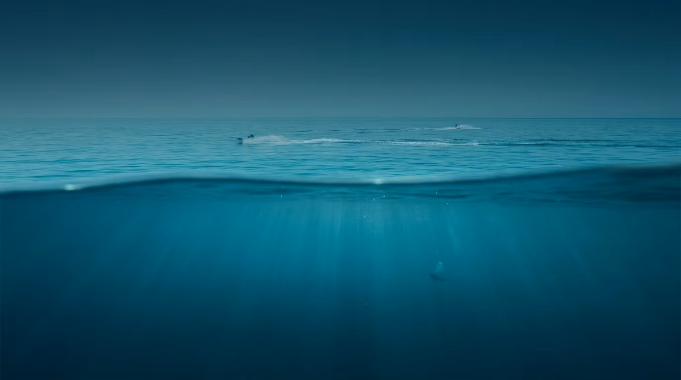 AquaEdge Academy