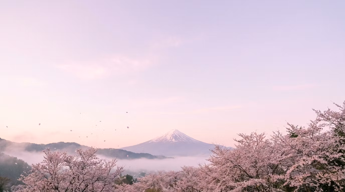 Sakura Bloom Academy