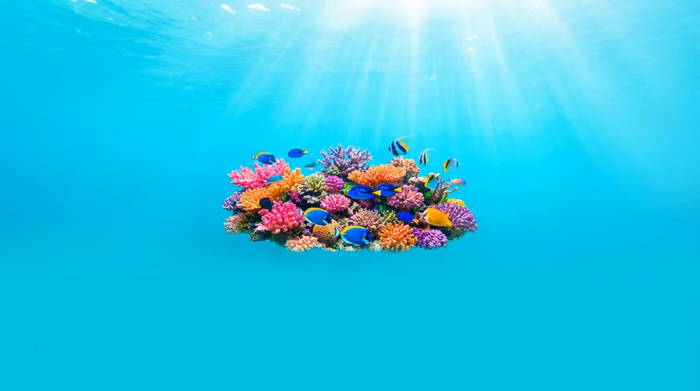 DeepBlue Tanks