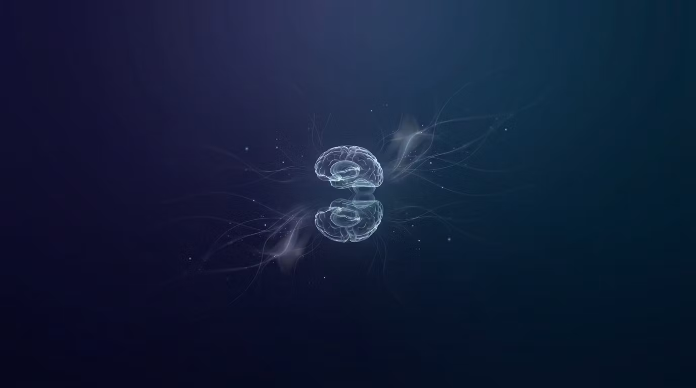 Déjà Vu Science Explained