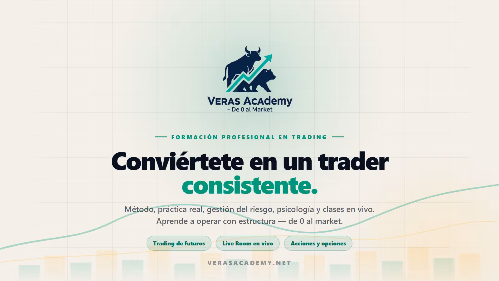 Veras Academy LLC