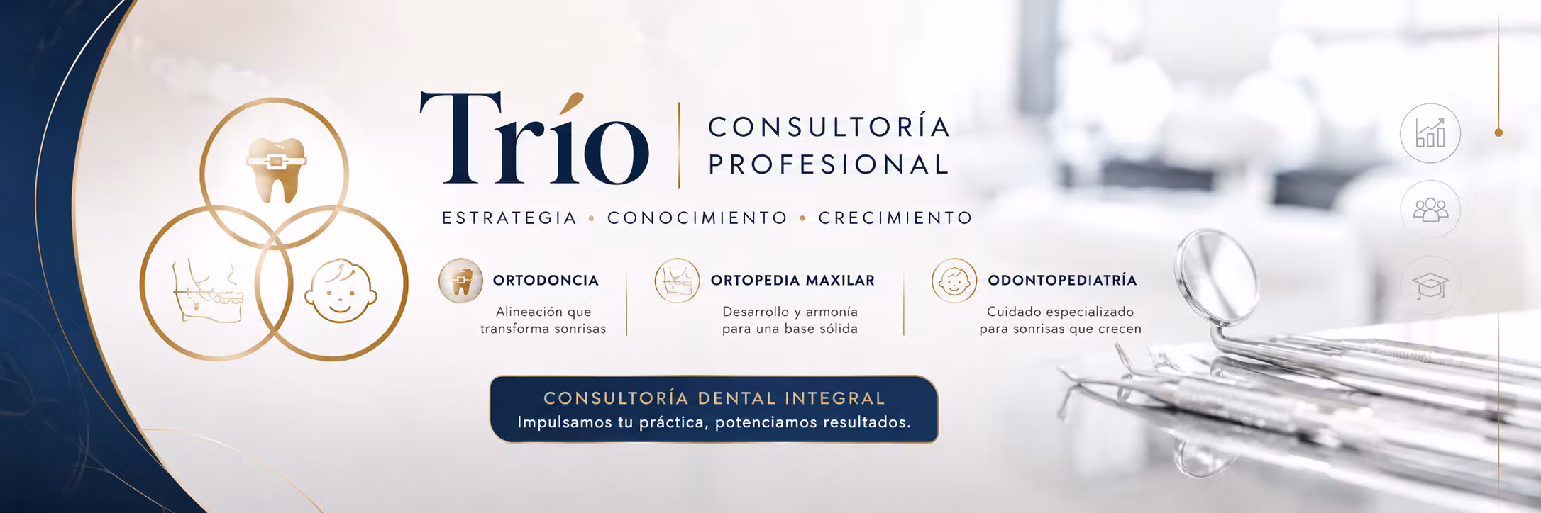 TriO Consultoría Profesional 