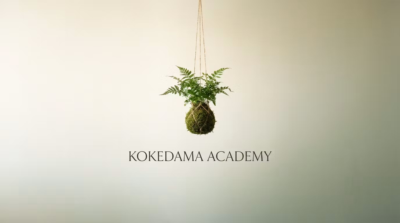 KokoPro Academy