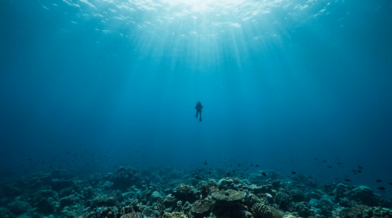 Reef Certified Academy