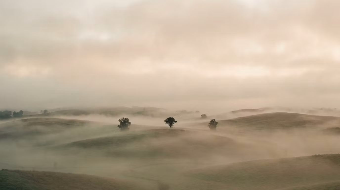 The Quiet World by Zhenwu