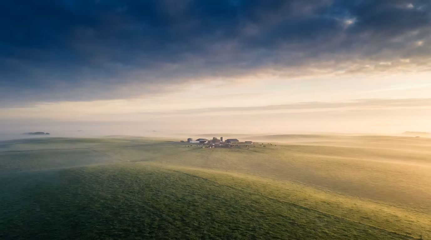 The Dairy Brief