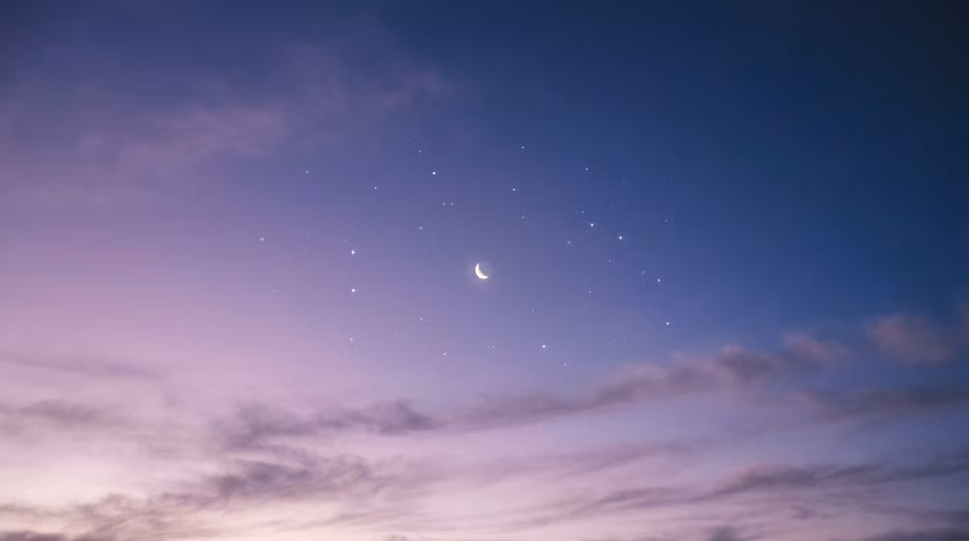 Sleepy Stars Club