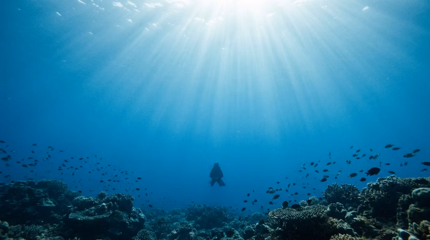 Reef & Rescue Diving