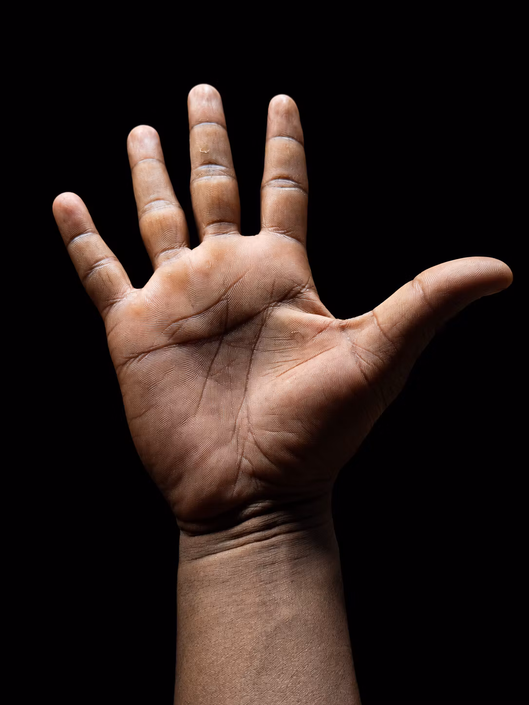 D41