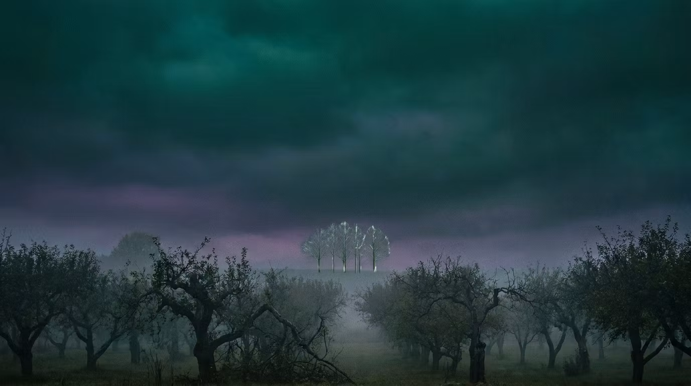 The Glass Orchard