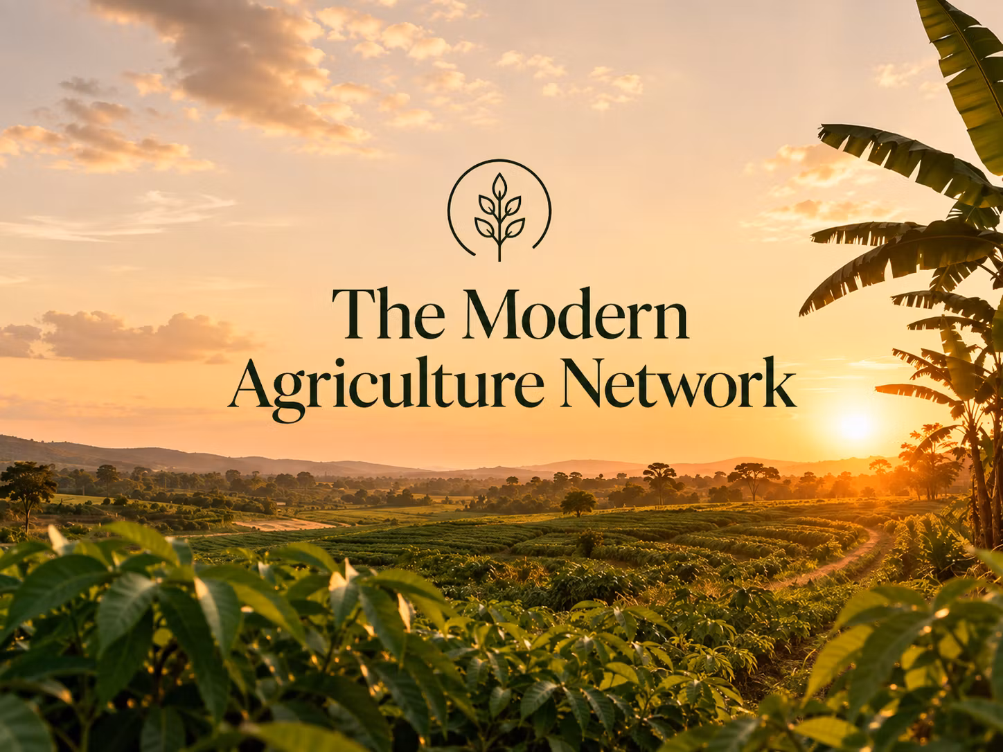 The Modern Agriculture Network