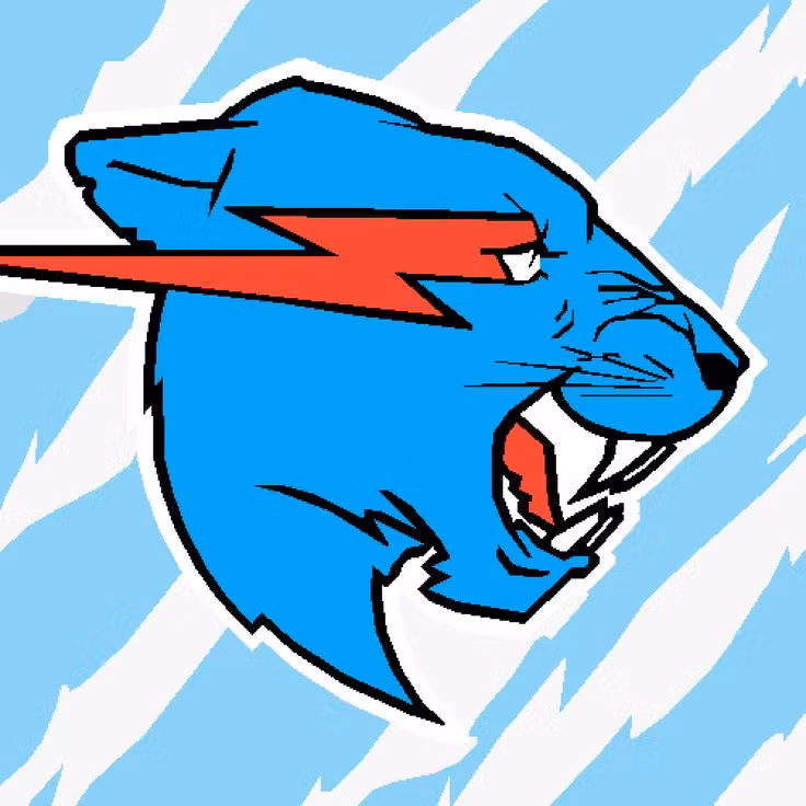 Mr beast clips
