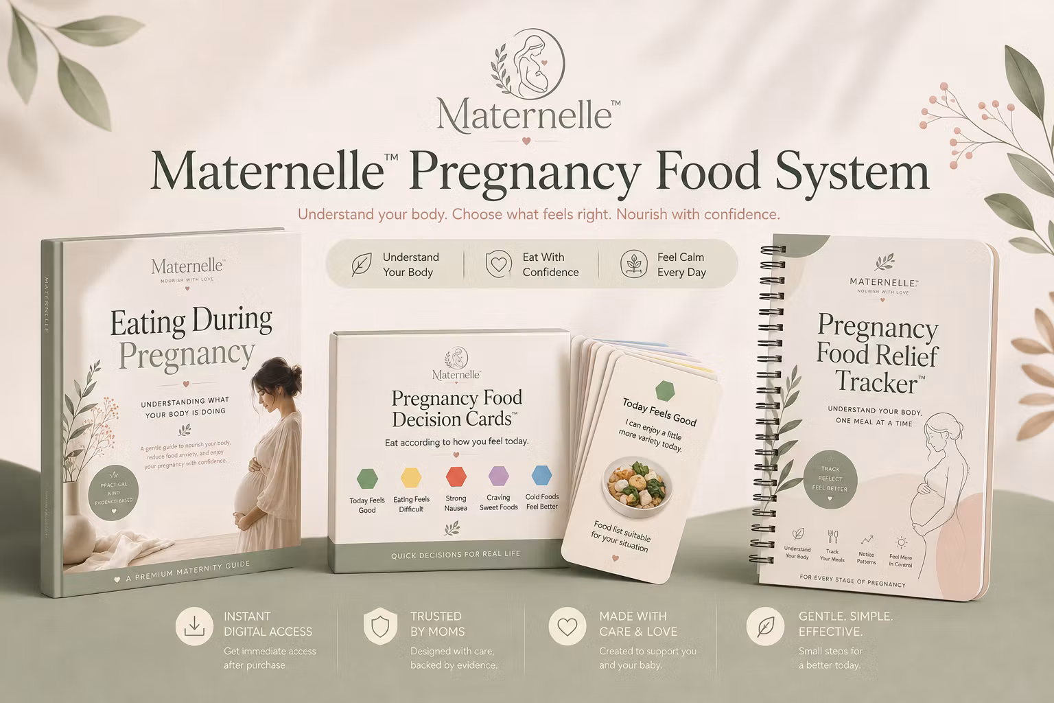 Maternelle Pregnancy Food System