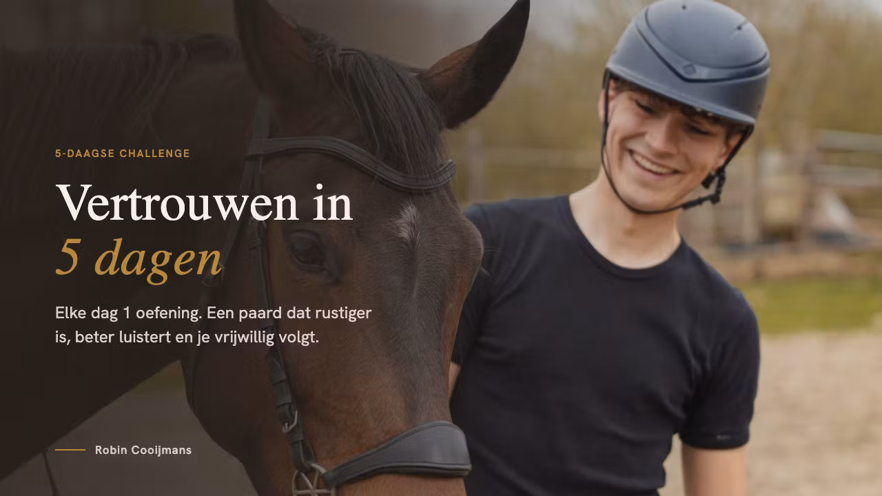 Vertrouwen in 5 Dagen
