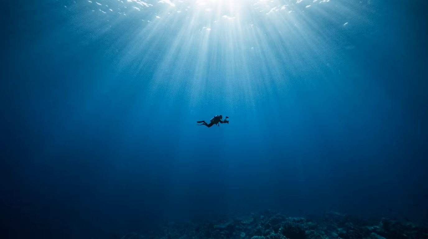 The Underwater Photography Academy