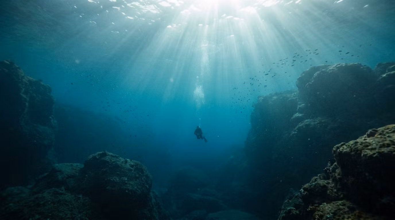 Divers Hub