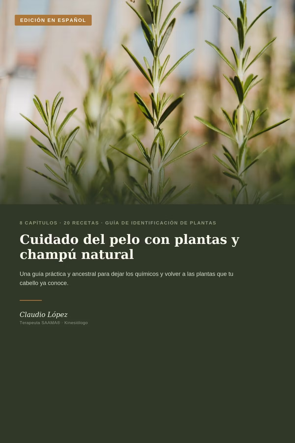 ClaulopezTerapeuta