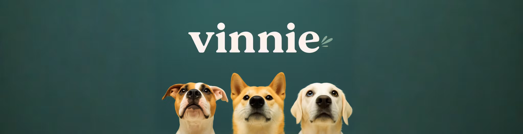 Vinnie's Creator Club