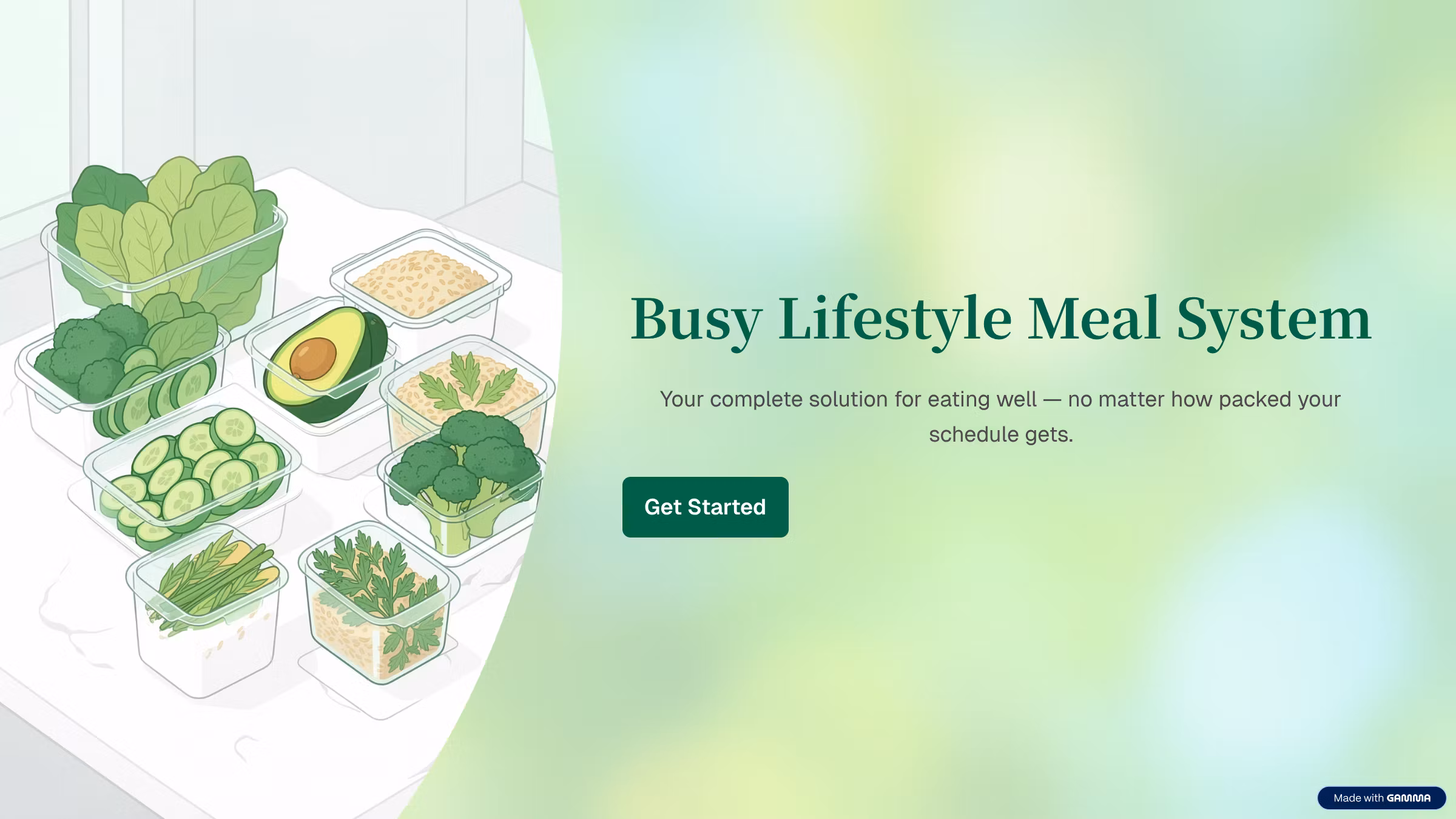 Busy Lifestyle Meal System