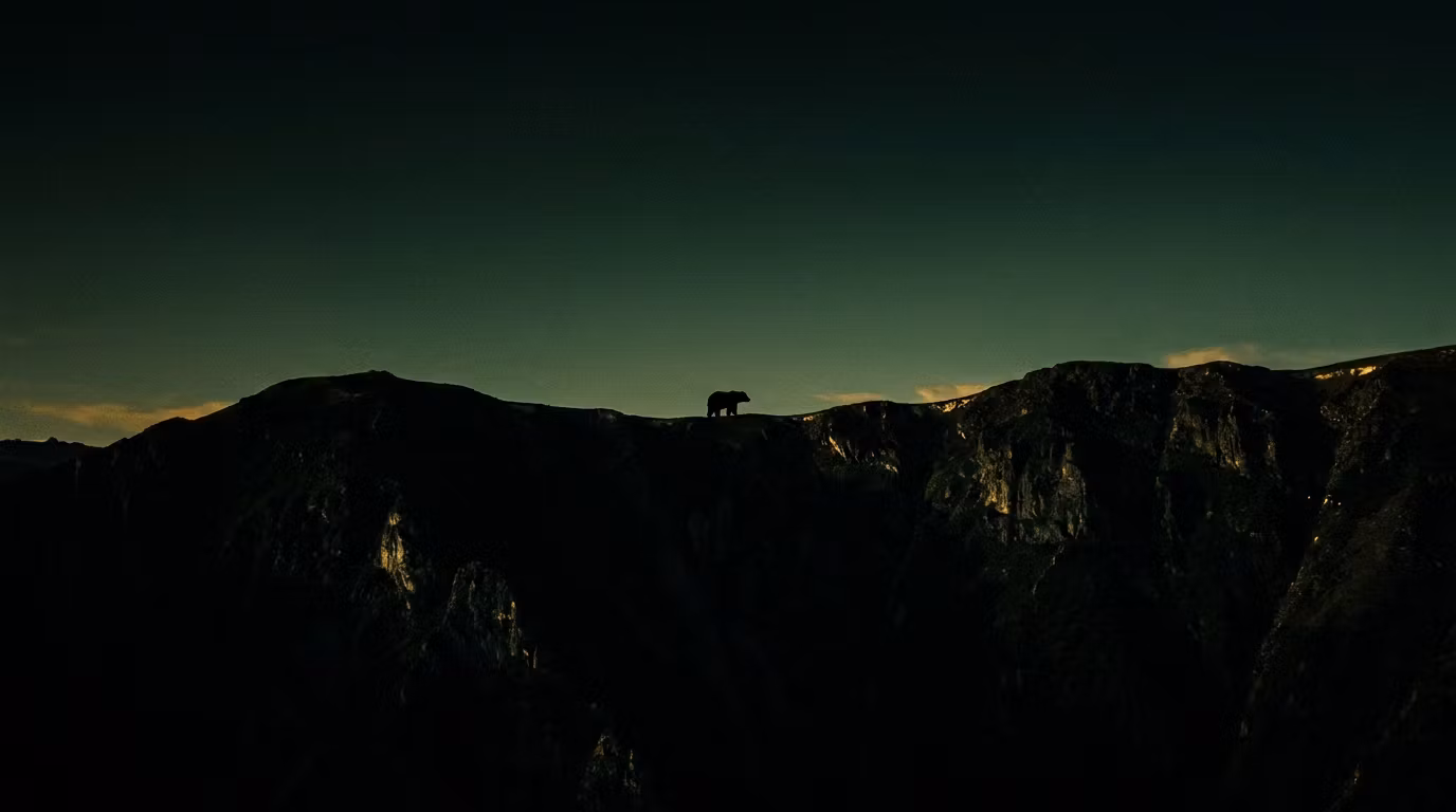 Black Bear Bets