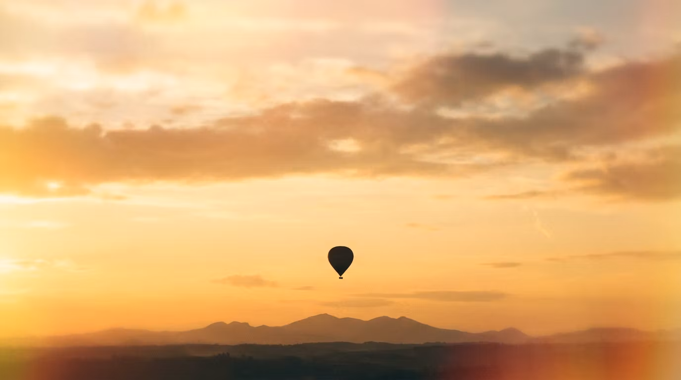 Skyline Tours and Travels
