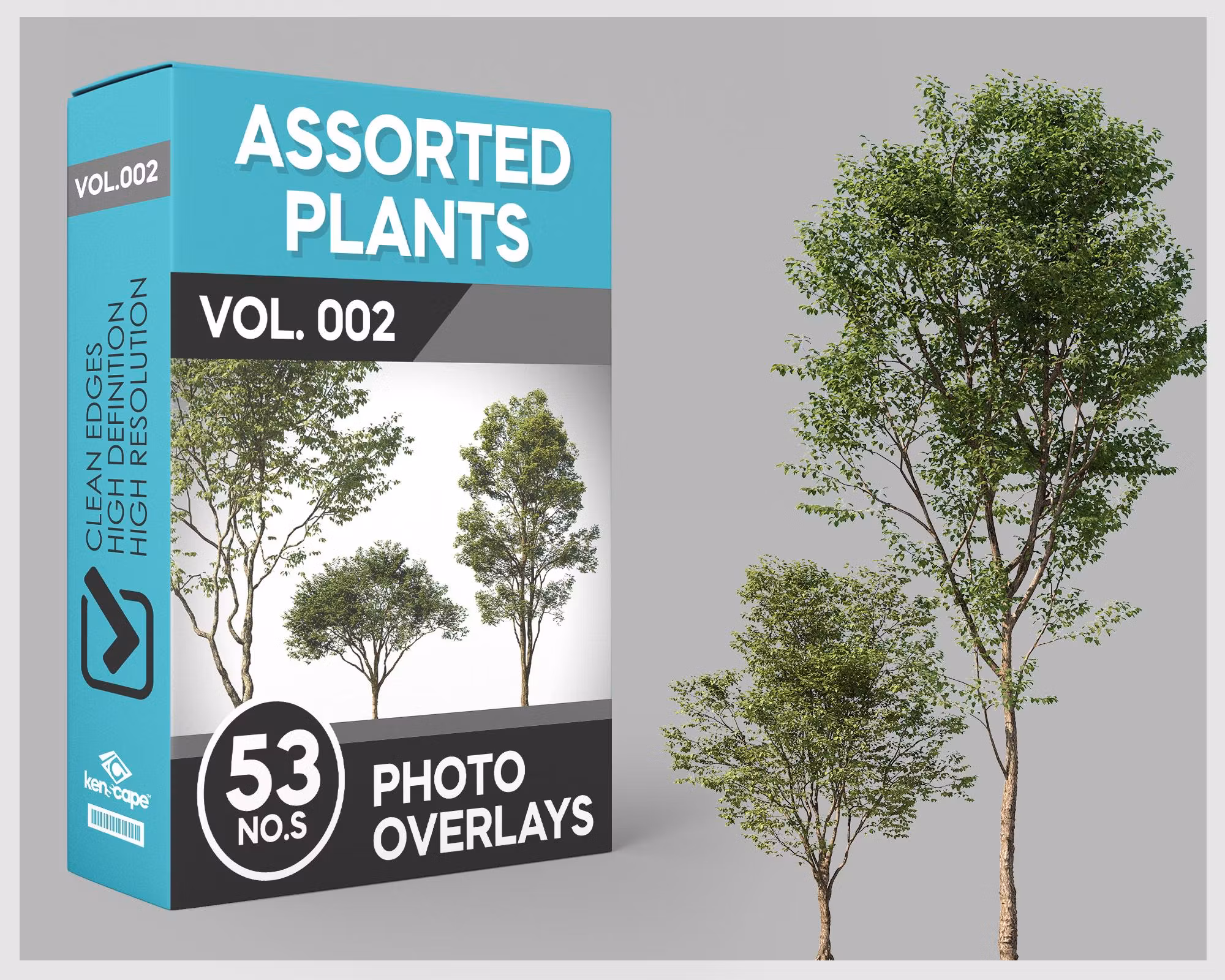 VOL.002 - 53 Trees Photo Overlays: Photoshop PNG Cutouts (Digital Download)