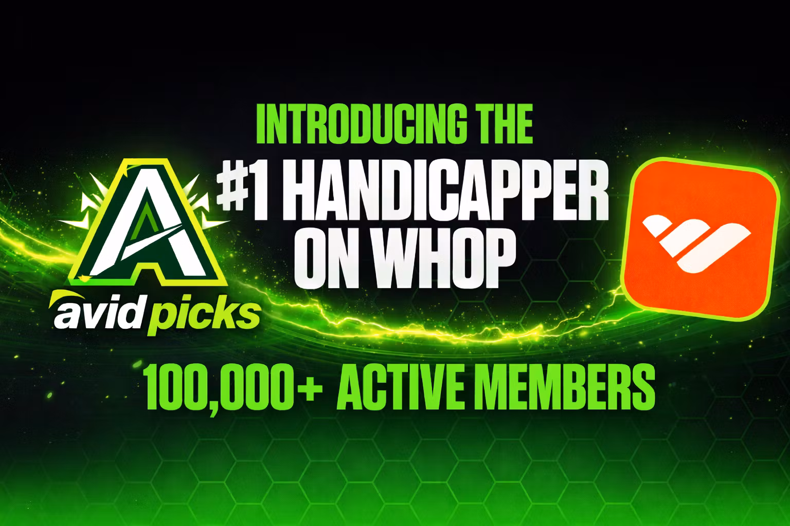 AvidPicks