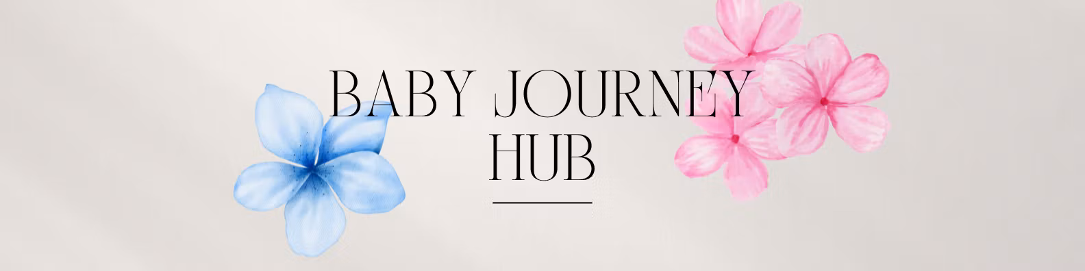Baby Journey Hub