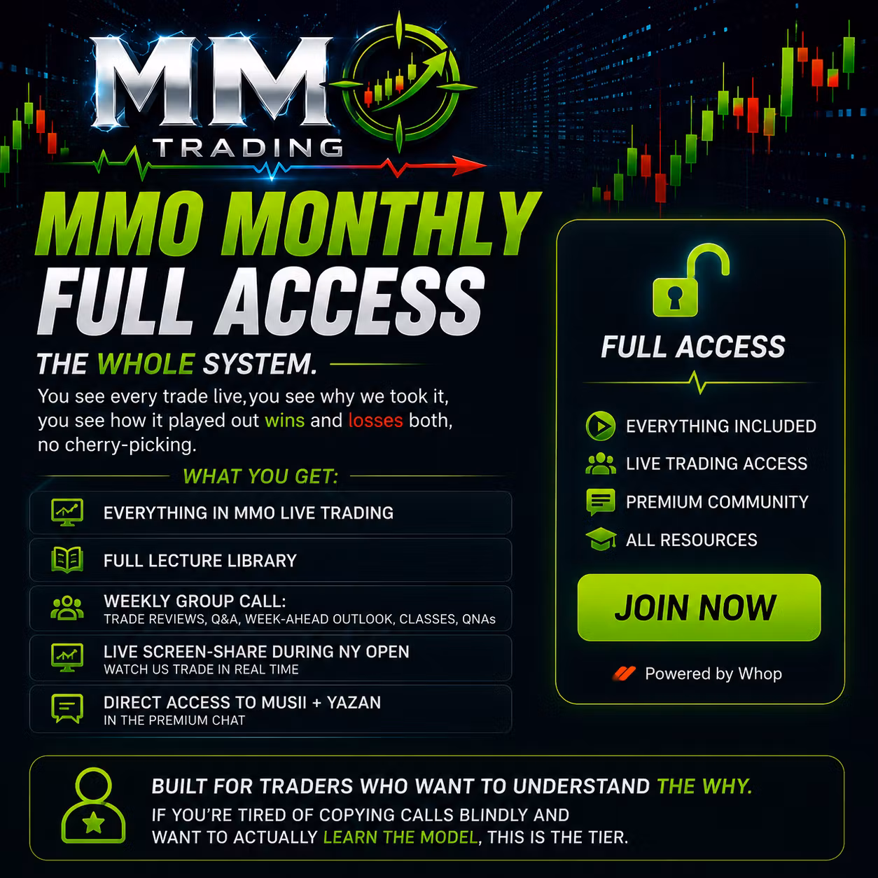 MMO Lifetime Full Access