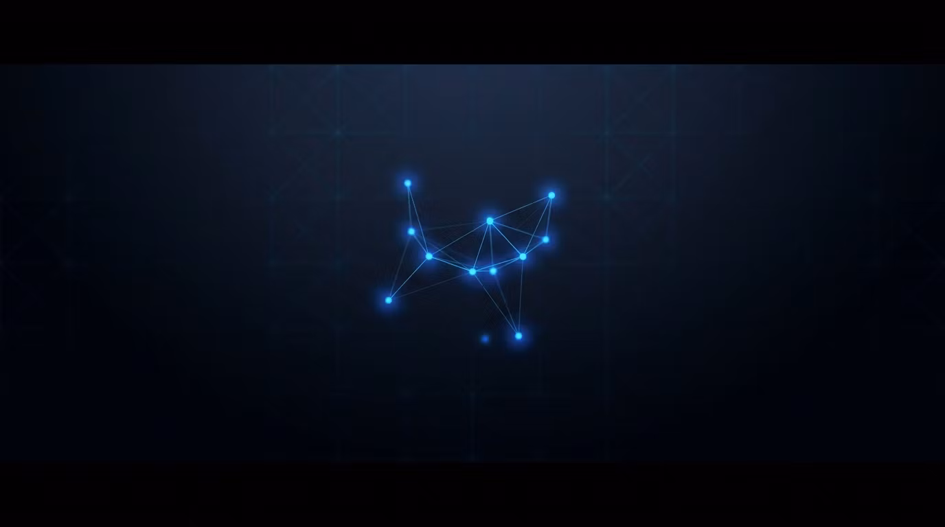 The Digital Collective