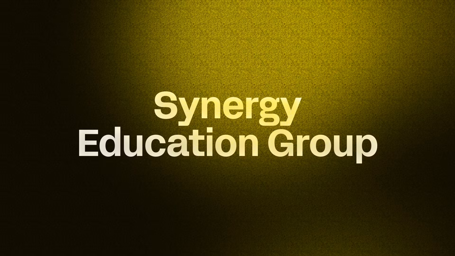 Synergy Education Group 