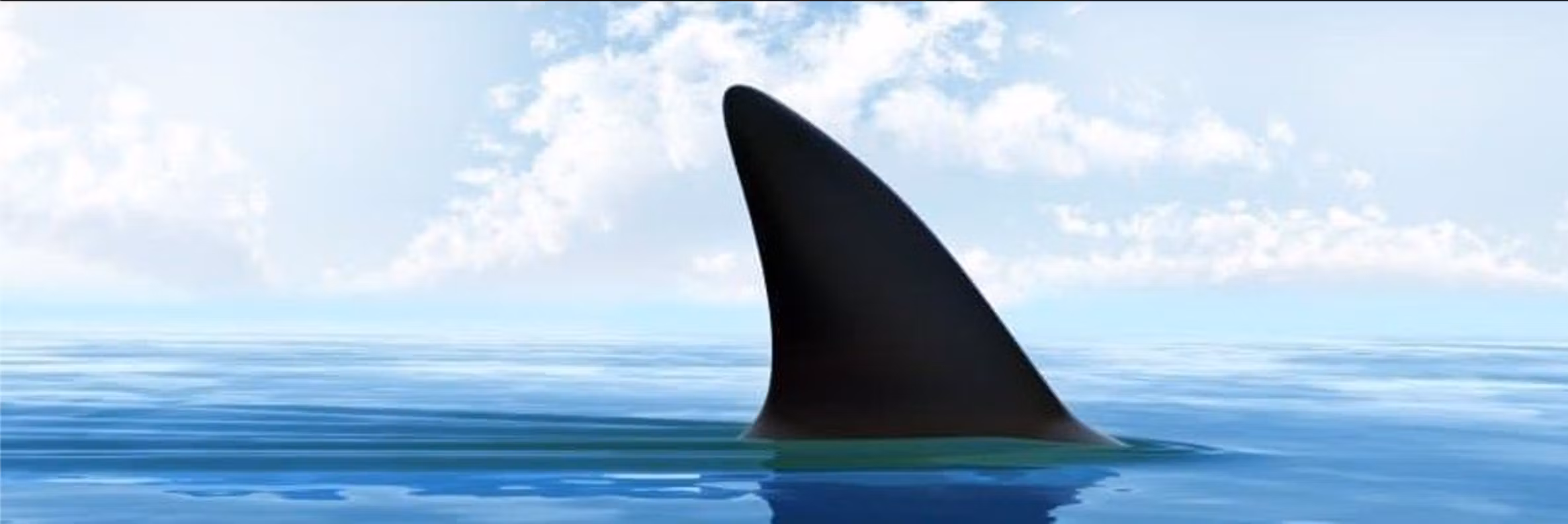 Shark Tank